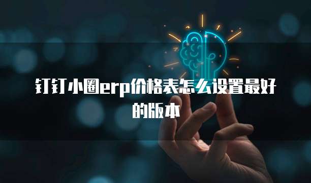 钉钉小圈erp价格表怎么设置最好的版本