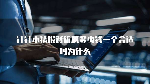 钉钉小猪报餐优惠多少钱一个合适吗为什么