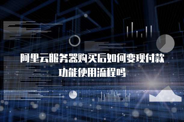 阿里云服务器购买后如何变现付款功能使用流程吗
