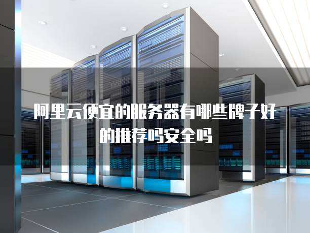 阿里云便宜的服务器有哪些牌子好的推荐吗安全吗