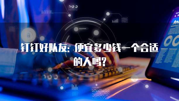 钉钉好队友: 便宜多少钱一个合适的人吗?