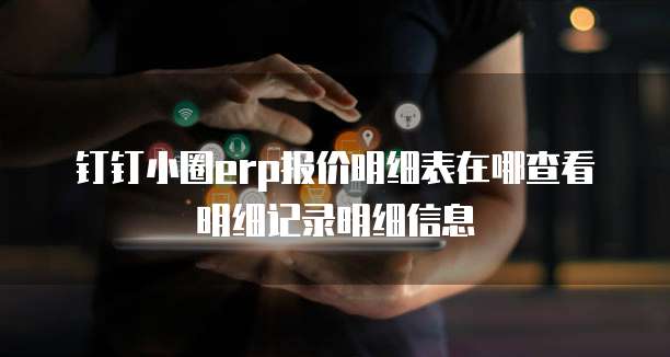 钉钉小圈erp报价明细表在哪查看明细记录明细信息