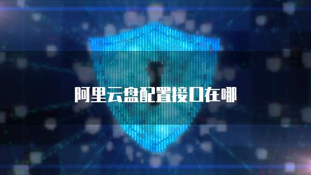 阿里云盘配置接口在哪