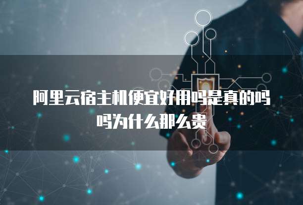 阿里云宿主机便宜好用吗是真的吗吗为什么那么贵