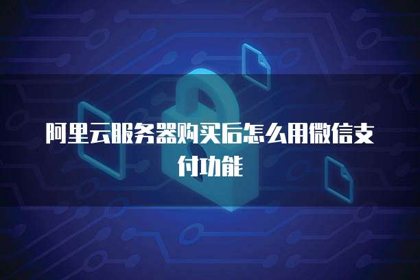 阿里云服务器购买后怎么用微信支付功能