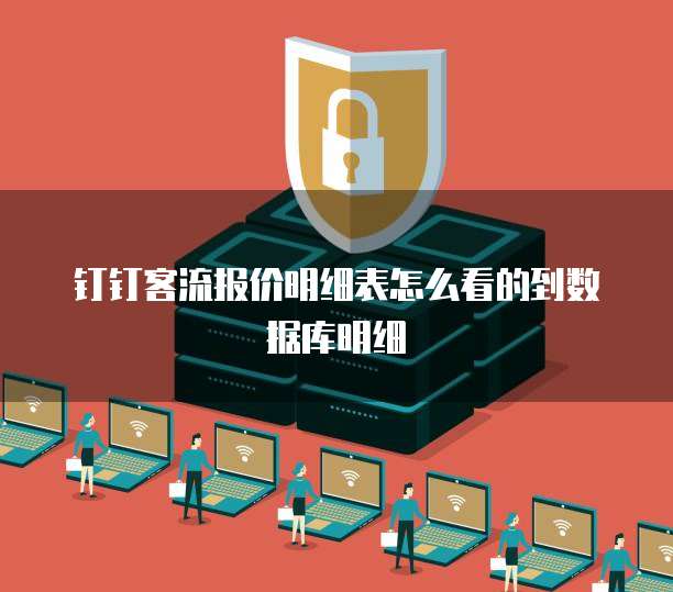 钉钉客流报价明细表怎么看的到数据库明细