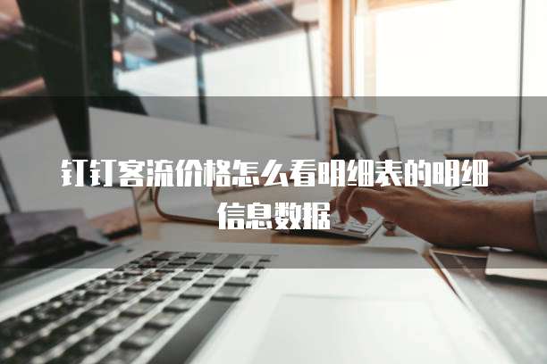 钉钉客流价格怎么看明细表的明细信息数据