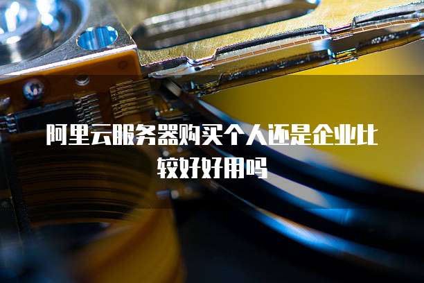 阿里云服务器购买个人还是企业比较好好用吗
