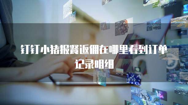 钉钉小猪报餐返佣在哪里看到订单记录明细