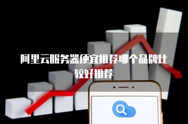 阿里云服务器便宜推荐哪个品牌比较好推荐
