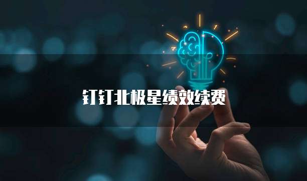 钉钉北极星绩效续费