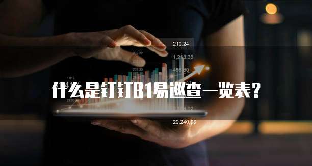 什么是钉钉B1易巡查一览表?