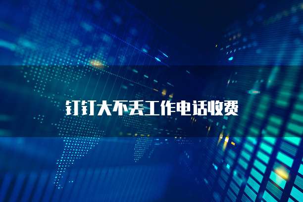 钉钉大不丢工作电话收费