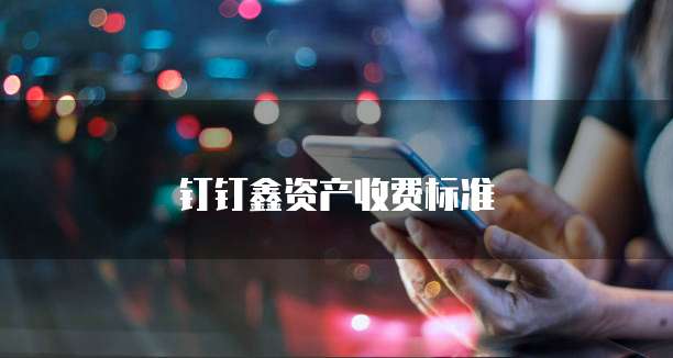 钉钉鑫资产收费标准