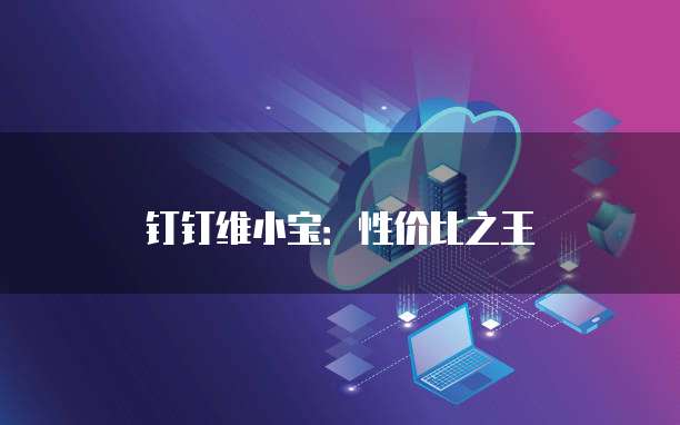 钉钉维小宝:性价比之王