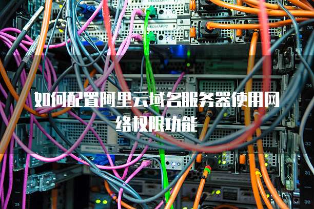 如何配置阿里云域名服务器使用网络权限功能