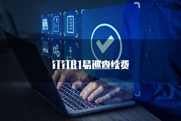 钉钉B1易巡查续费