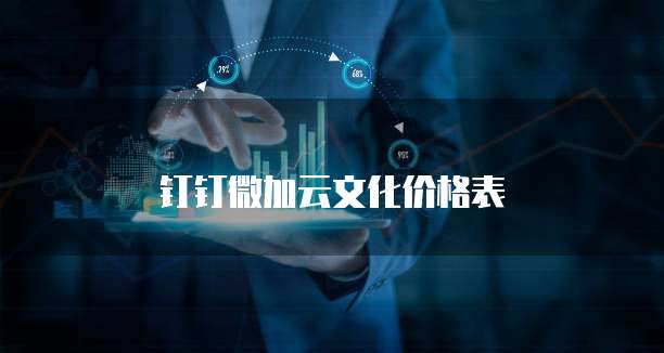 钉钉微加云文化价格表