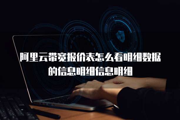 阿里云带宽报价表怎么看明细数据的信息明细信息明细