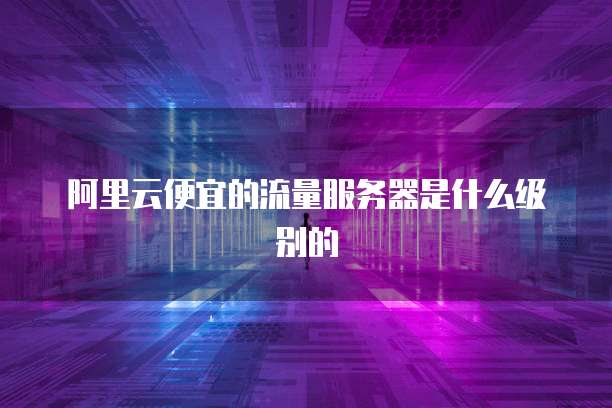 阿里云便宜的流量服务器是什么级别的