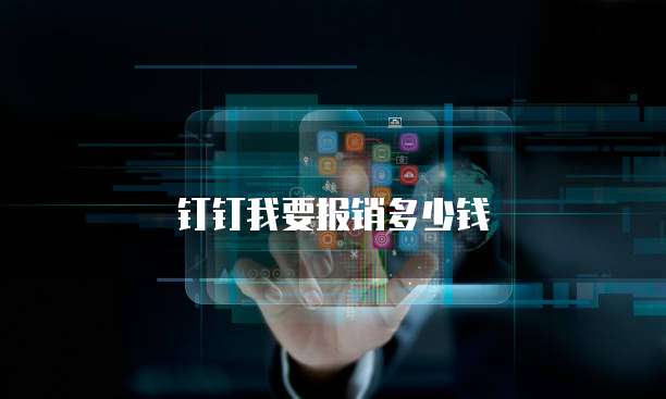 钉钉我要报销多少钱
