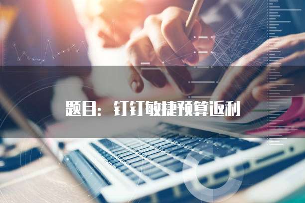 题目:钉钉敏捷预算返利