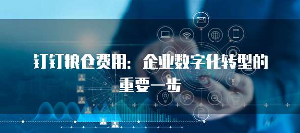 钉钉粮仓费用：企业数字化转型的重要一步