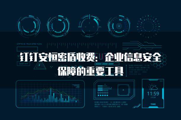 钉钉安恒密盾收费:企业信息安全保障的重要工具