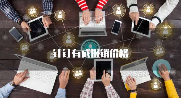 钉钉有成报销价格