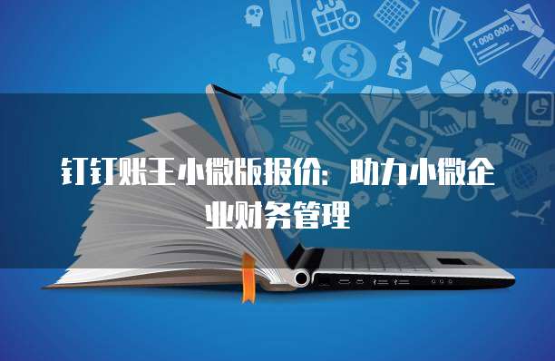 钉钉账王小微版报价：助力小微企业财务管理