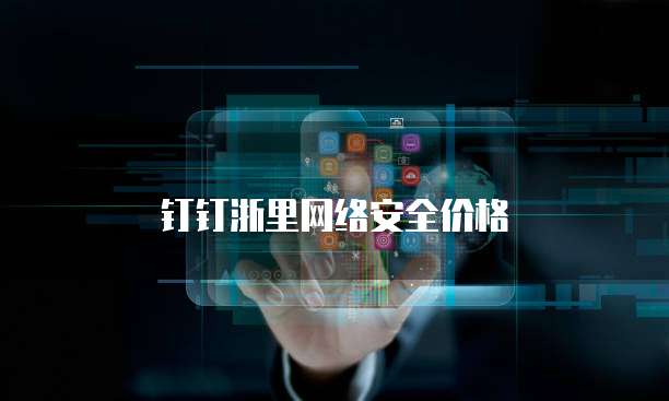 钉钉浙里网络安全价格