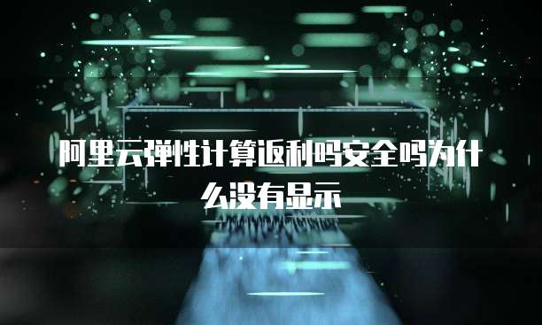 阿里云弹性计算返利吗安全吗为什么没有显示