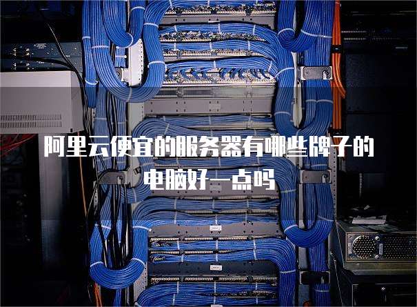 阿里云便宜的服务器有哪些牌子的电脑好一点吗