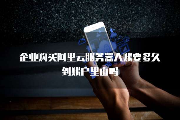 企业购买阿里云服务器入账要多久到账户里面吗