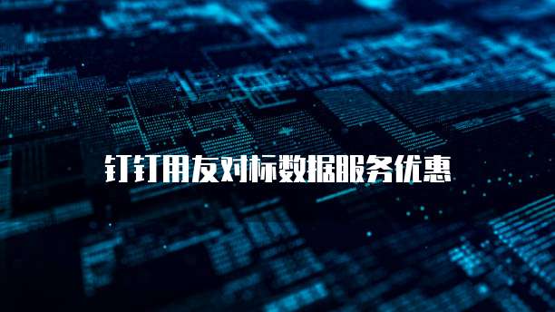 钉钉用友对标数据服务优惠