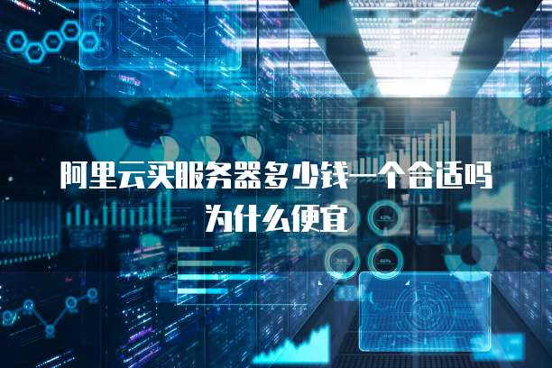 阿里云买服务器多少钱一个合适吗为什么便宜