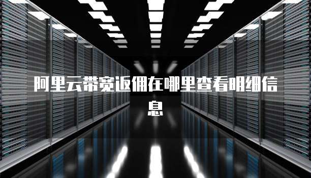 阿里云带宽返佣在哪里查看明细信息