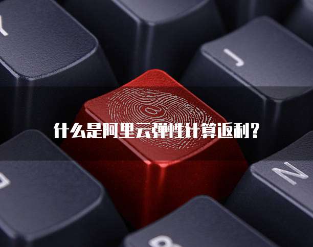 什么是阿里云弹性计算返利？