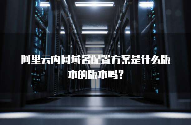 阿里云内网域名配置方案是什么版本的版本吗?