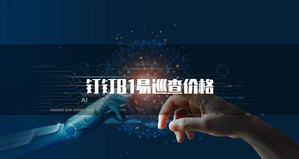 钉钉B1易巡查价格