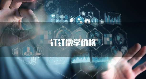 钉钉微学价格