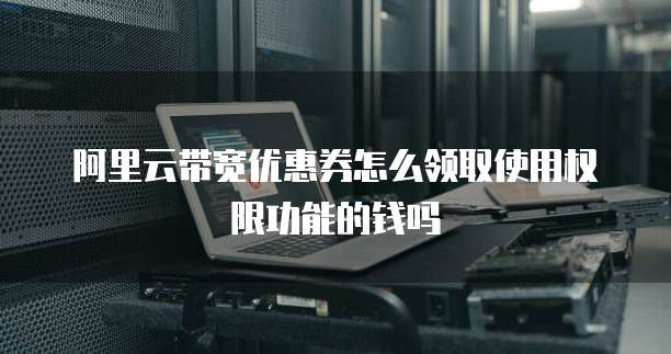 阿里云带宽优惠券怎么领取使用权限功能的钱吗