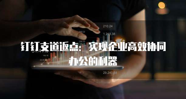 钉钉支道返点:实现企业高效协同办公的利器