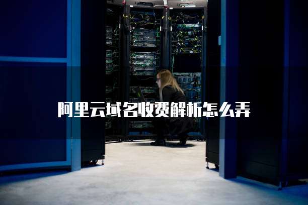阿里云域名收费解析怎么弄