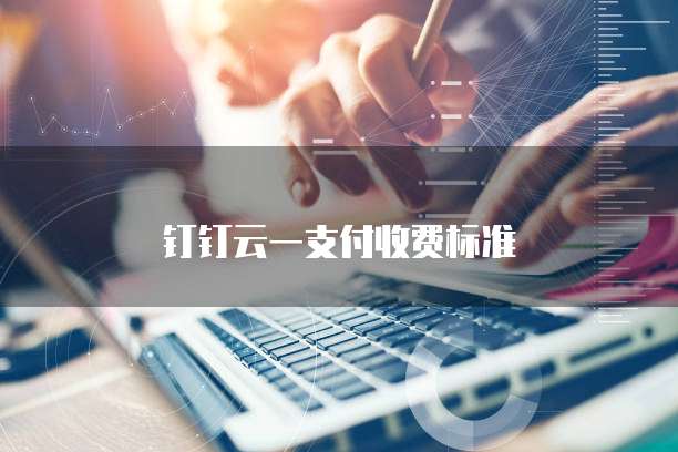 钉钉云一支付收费标准