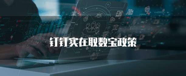 钉钉实在取数宝政策