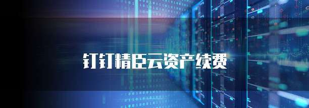 钉钉精臣云资产续费