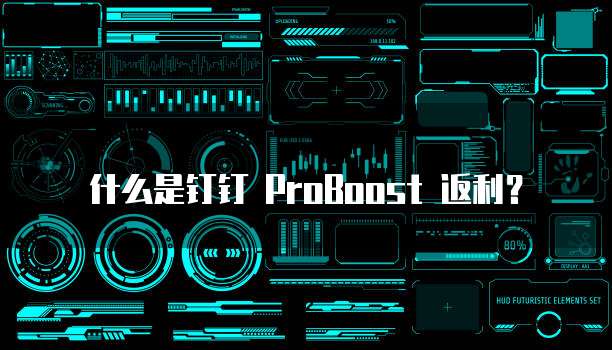 什么是钉钉 ProBoost 返利?