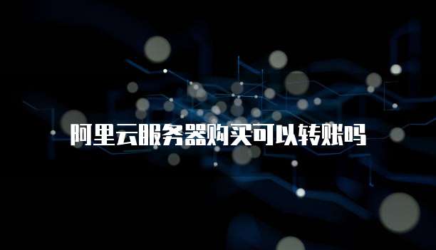 阿里云服务器购买可以转账吗