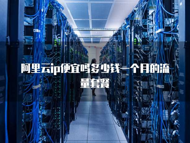 阿里云ip便宜吗多少钱一个月的流量套餐